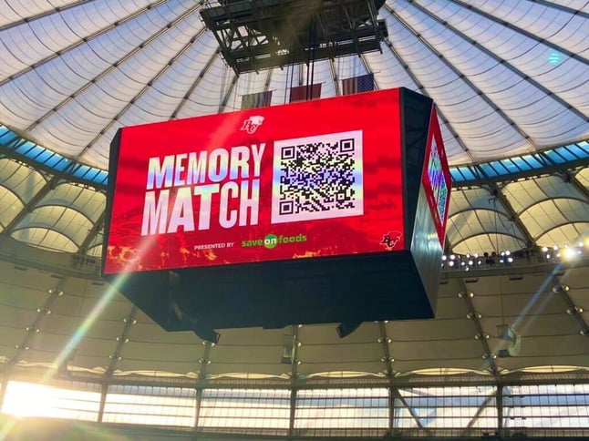 Lions Memory Match