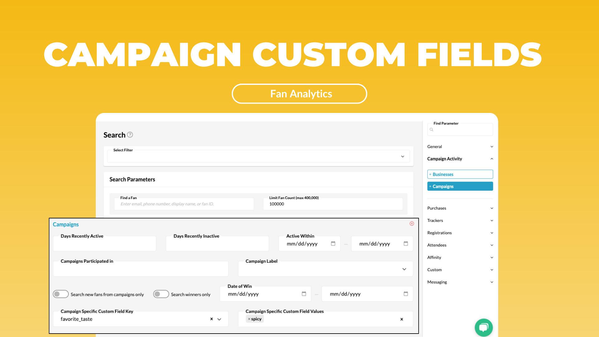 Search for custom fields at the campaign level