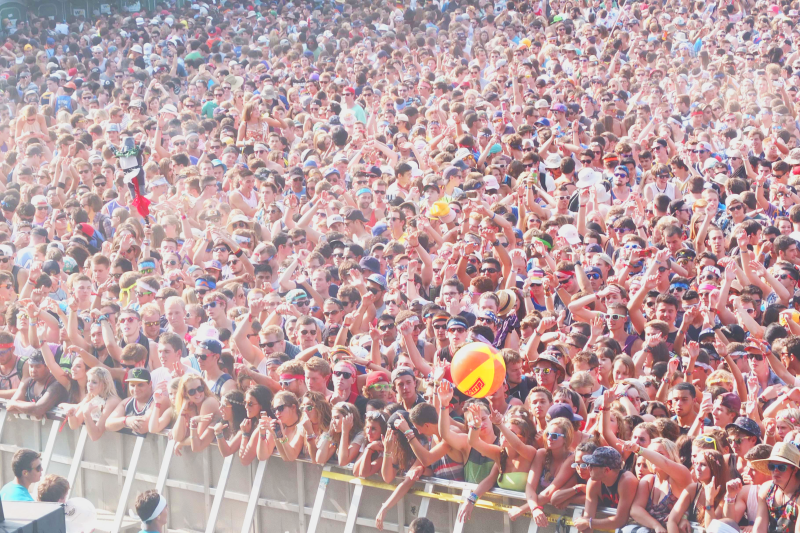 How you can rock social media Lollapalooza style